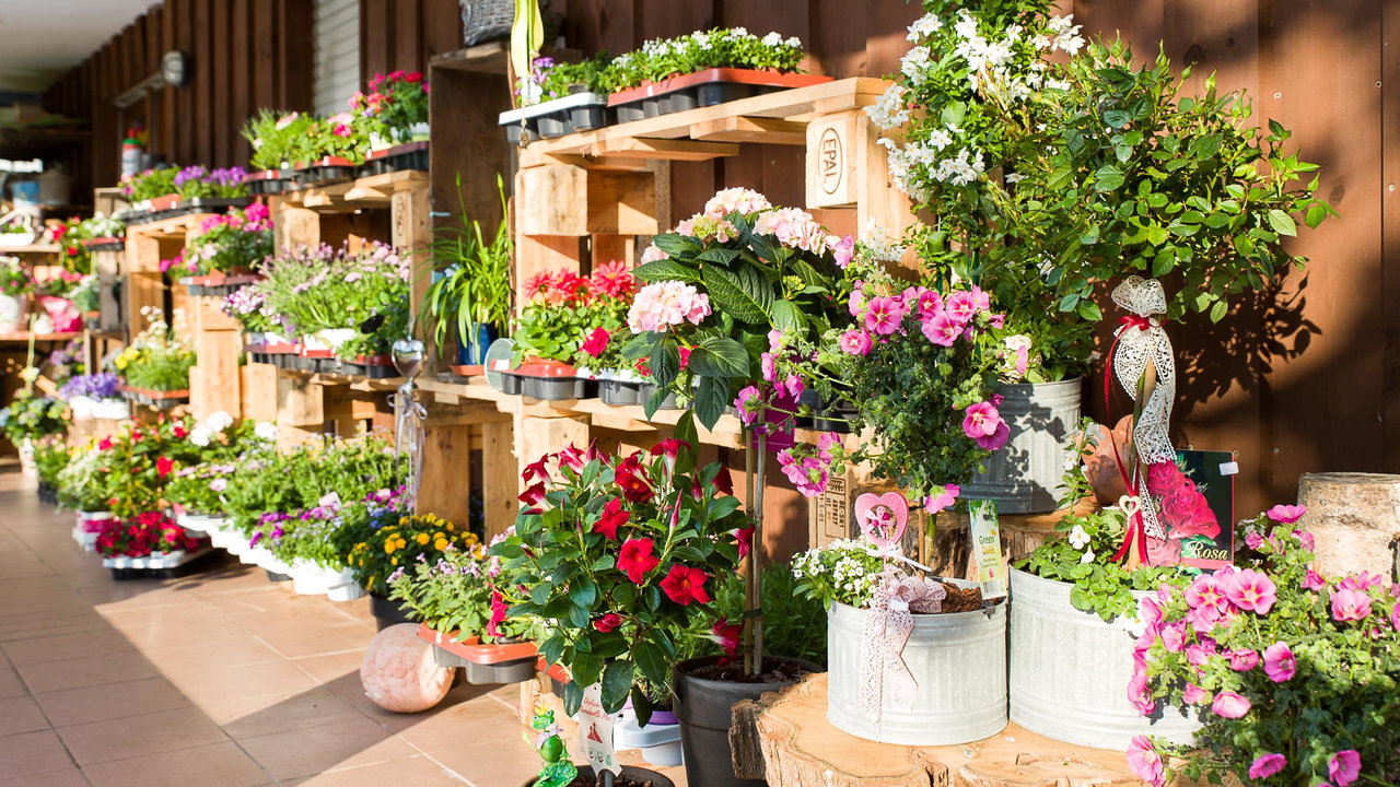 Mit Pflanzen der Saison