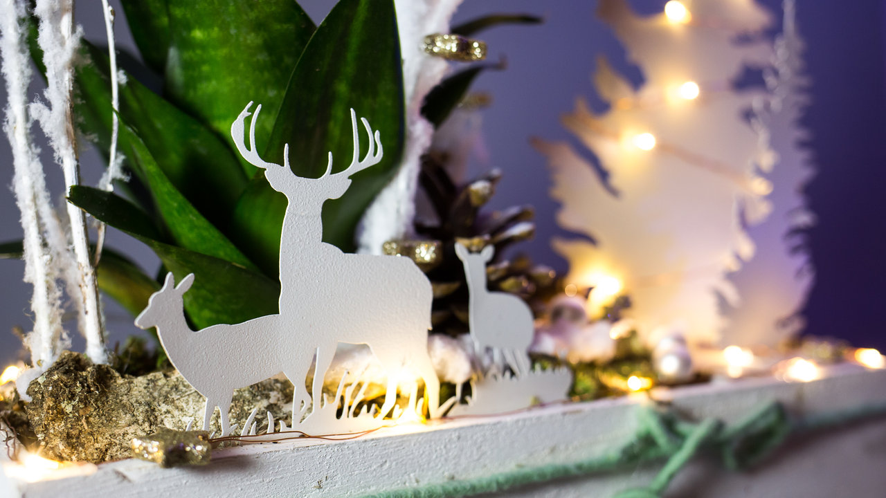 Ein kleines Arrangement für's weihnachtliche Fenster.